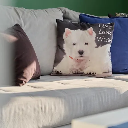 Lively In With Balcony And Desk By Renters Apartment Wroclaw