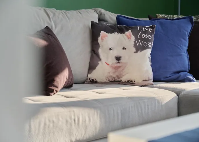 Lively In With Balcony And Desk By Renters شقة فروتسواف